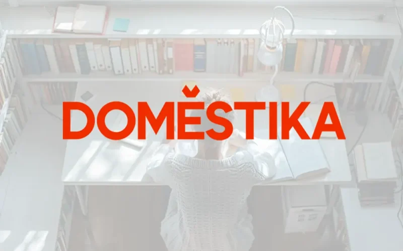 avis sur Domestika